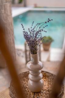 Villa Ivana - Mostar - 3