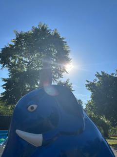 POLUBKOVO domki wypoczynkowe sauna balia basen jezioro - 8