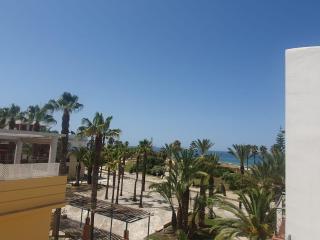 Bogavante Costa Ballena - 0