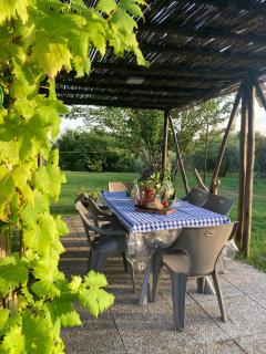 La Casa Nell'Aia - Monsummano Terme - 6
