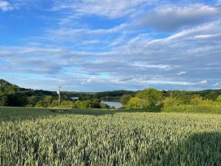 Stunning farm retreat - Tyes Cross - 2