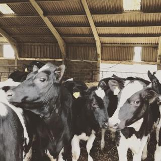 Stunning farm retreat - Tyes Cross - 1