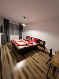 Cazare zona Cluj Napoca, VIVO, METRO, AMETHYST - 8