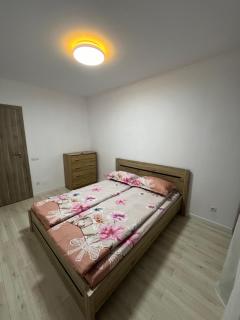 Cazare zona Cluj Napoca, VIVO, METRO, AMETHYST - 1