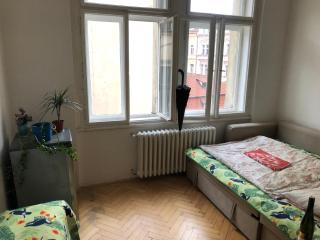 Bedroom in the heart of the centre of the Prague - Prague - 7
