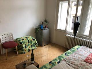 Bedroom in the heart of the centre of the Prague - Prague - 6