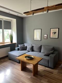 Center Apartment Ventspils - Ventspils - 8