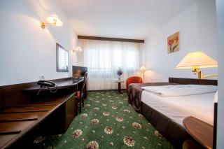 Best Western Central Hotel - Arad - 5