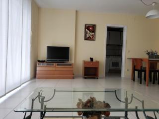 Les Pites I 2n 2a Bonito apartamento con terraza - Girona - 1