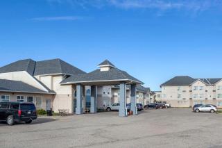 Quality Inn & Suites Edmonton International Airport - Leduc - 8