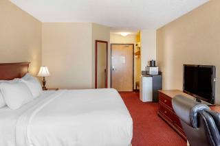 Quality Inn & Suites Edmonton International Airport - Leduc - 2