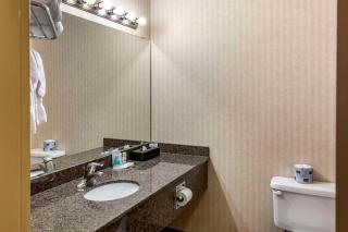 Quality Inn & Suites Edmonton International Airport - Leduc - 1