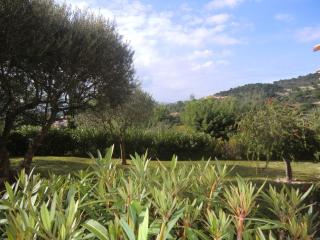 Les Oliviers - Grimaud - 9