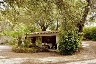 B&B Le Niaouli - Lorgues - 1