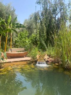 Jardin Sakina - Séjour paisible avec soins bien-être, proche de Marrakech - 9