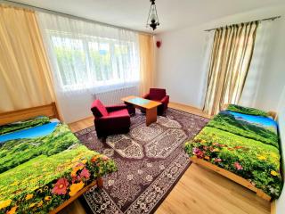 Apartament przy Parku Wodzickich - Poręba Wielka - 0