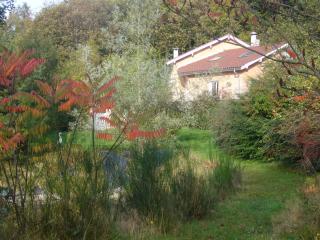 Le Jardin Ombragé - Saint-Paul-dʼIzeaux - 9