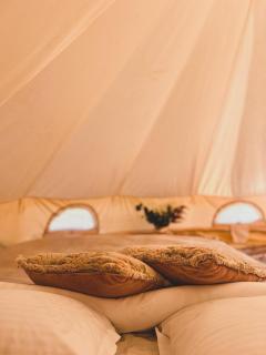 Glamping Spiritul Pădurii - - 4