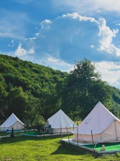 Glamping Spiritul Pădurii - - 9