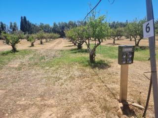 Tenuta Naturale - Villa San Pietro - 6