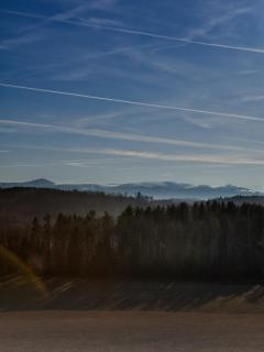 Rajskie Jabłka - azyl dla dorosłych - 7