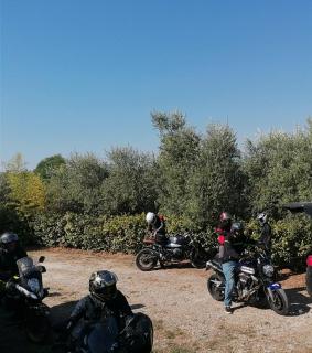 Ortona Holiday B&B - 1