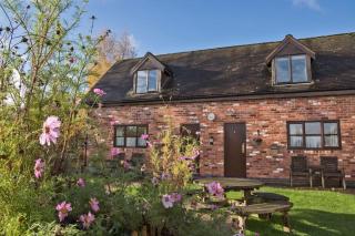 Alpaca Cottage 7mins to Alton Towers - Denstone - 5