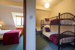 Alpaca Cottage 7mins to Alton Towers - Denstone - 1