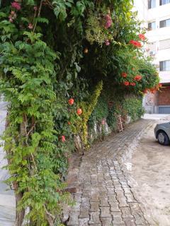 Arben - Durazzo - 8