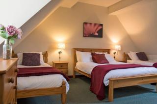 Charlie's Cottage with Alpacas and 7mins drive to Alton Towers - Denstone - 0