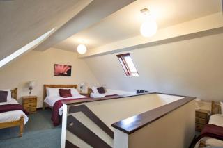 Charlie's Cottage with Alpacas and 7mins drive to Alton Towers - Denstone - 7