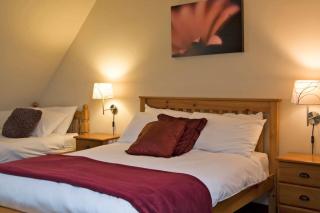 Charlie's Cottage with Alpacas and 7mins drive to Alton Towers - Denstone - 3