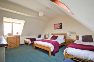 Charlie's Cottage with Alpacas and 7mins drive to Alton Towers - Denstone - 1