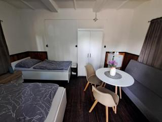 Wellness Hotel Orlík - Kozárovice - 7
