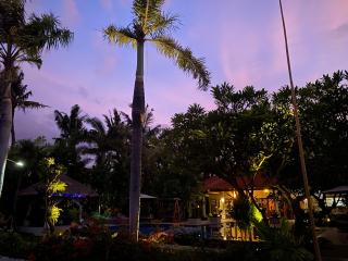 Villa Saffraan Bali - Banjar - 1