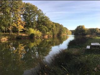 Mobil-home avec WIFI 6 à 8 couchages Domaine 4 étoiles au cœur des Châteaux de la Loire - Onzain - 9