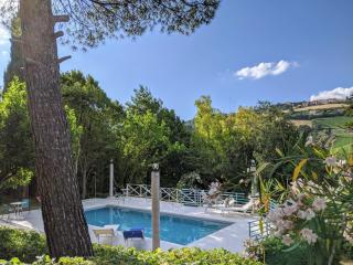 Italian Experience-Villa Millefiori - Porto San Giorgio - 6
