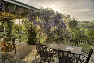 Italian Experience-Villa Oleandri - Ostra - 4