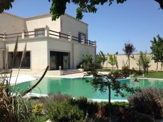 Mardakan White Villa - 8