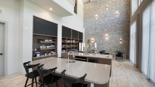 Landing at The Monroe - 1 Bedroom in Montopolis - Austin - 6