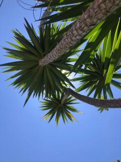 Authentic Andalucia - 8