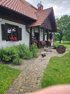 Siedlisko w Starym Sadzie - - 9