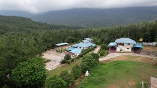 Blue Mist Homestay - Chikmagalūr - 7