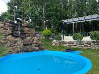Blue Mist Homestay - Chikmagalūr - 2
