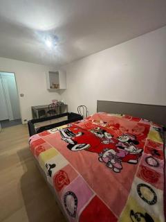 Appartement Spacieux et Luxueux - 4