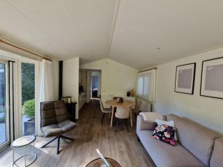 Prachtig chalet op heerlijke plek - Epe - 9
