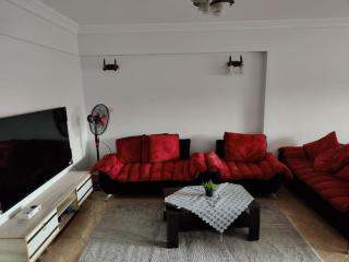 Newly Furnished Apt in Alex - 6