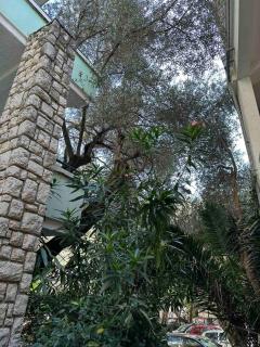 Apartment Oliva, Rafailovici - 6