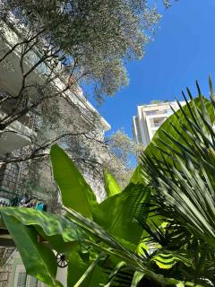 Apartment Oliva, Rafailovici - 7