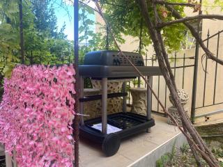 Quiet apartment, AC with free street parking and little garden - 2